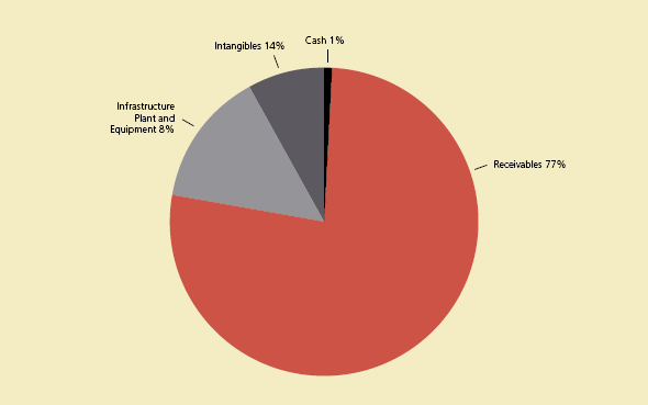 Figure 6.1 Composition of NBA assets at 30 June 2008 