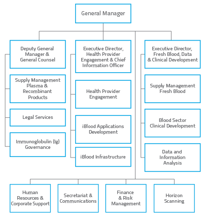 Our Staff Organisational Structure