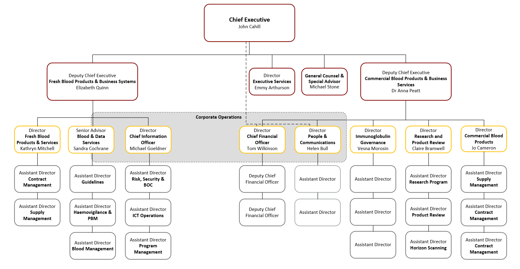 Image of organisational structure from CE to assistant director level for the NBA