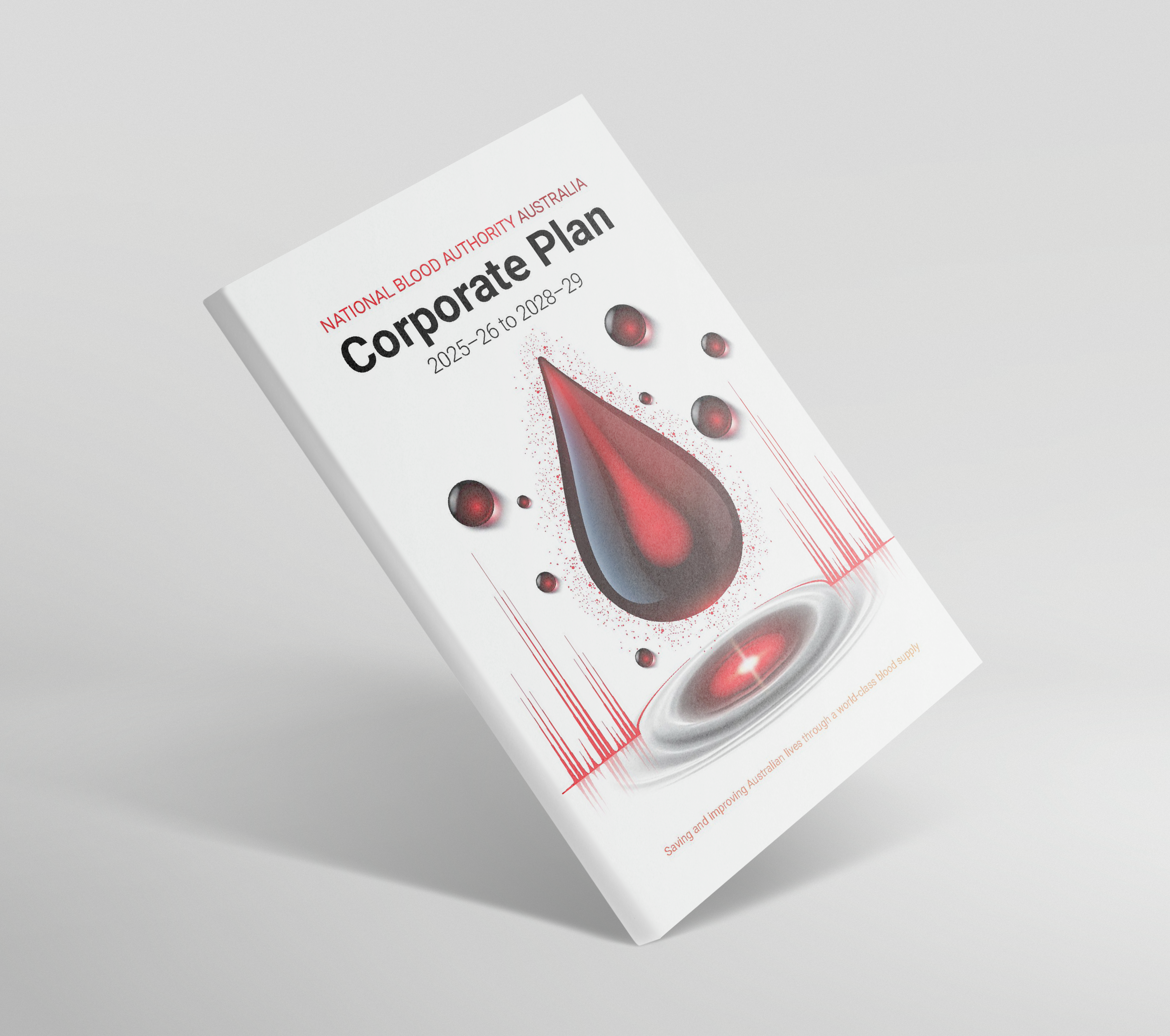 Image of NBA corporate plan cover