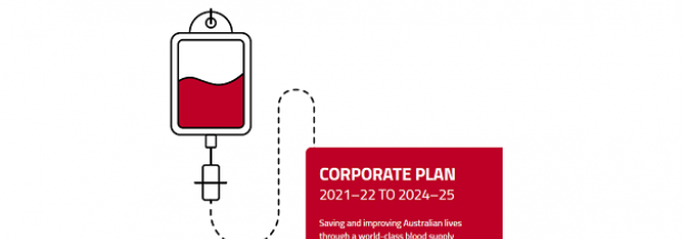 Corporate Plan Image